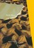 Earth Moves by Bernard Cache, Michael Speaks (1995, Paperback)
