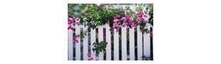 White Picket Fence Collectibles