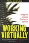 Working Virtually by Trina Hoefling (2003, Paperback)