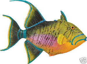 UNIQUE Queen Triggerfish  ~  FREE SHIP $25+ SAFARI LTD 