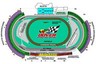 Nascar Sprint Cup Series: Dodge Dealers 400 (Sep 21, 2008, Dover)