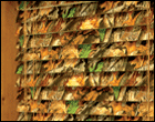 47" x 64" Advantage Timber® HD™ Window Blinds