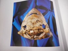 dinosaur fossils on ebay