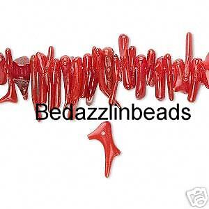 Genuine Red Bamboo Coral Cupolini Beads~Branch Shell  