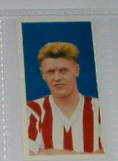 Tony Allen Stoke City England Football Soccer Card