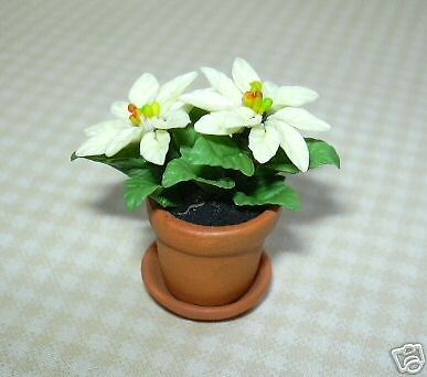 White Poinsettia Terra Cotta Pot DOLLHOUSE Miniatures  