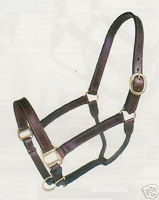 Pony, Standard Donkey~Adjustable Leather Stable Halter  