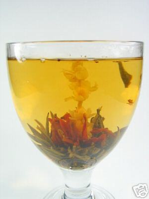 Sweet Olive * Flowering Tea 12 Blooms *   