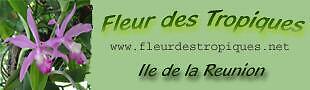 fleur-des-tropiques974