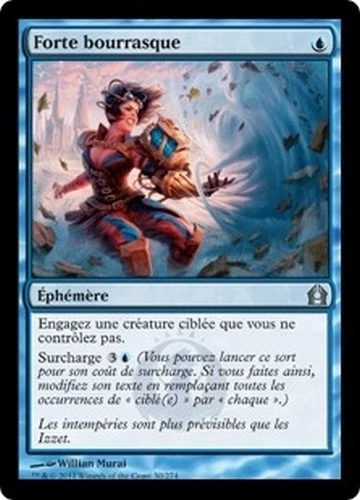 Lots mixtes de cartes jeux de cartes à collectionner magic: l'assemblée (MTG)