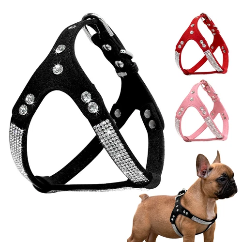 Hundegeschirre aus Kunstleder