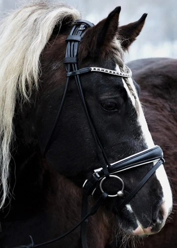 Reitsport-Trense Rundgenäht