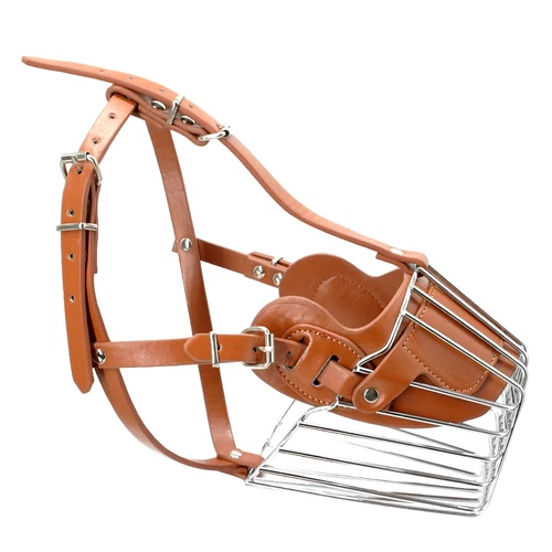 Matériel marrons en cuir pour le dressage des chiens