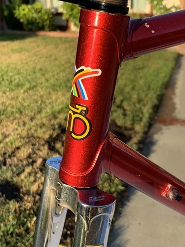 Marcos Vintage unisex para adultos Eddy Merckx