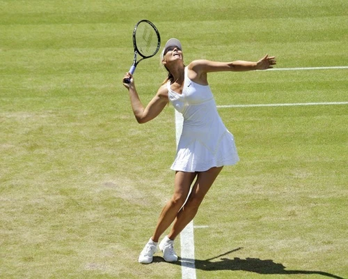 Champion Maria Sharapova Ropa para aficionados y recuerdos de tenis