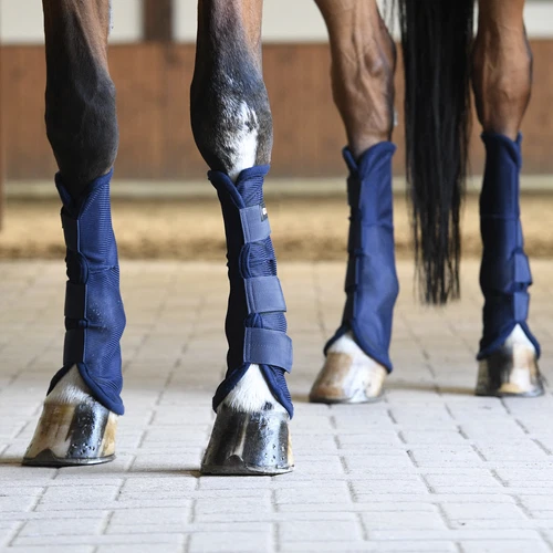 Pferde-Transportgamaschen Busse
