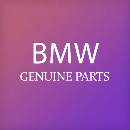BMW Motorcycle & Scooter Clutch Levers without Classic Part