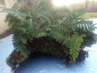 Nature Decoration Table Center Piece Goes Great With Our  Nature Themed decor.!