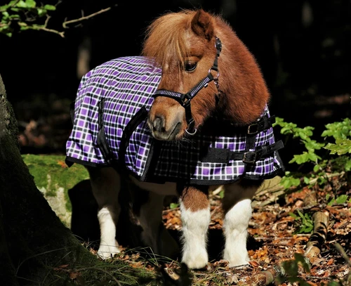 Sonstige Shetty aus Polyester