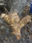 Rustic Cabin Decor Space Cowboy-Pig in Suit