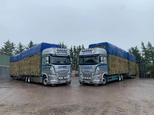 Modellautos, - LKWs & -Busse von DAF Container